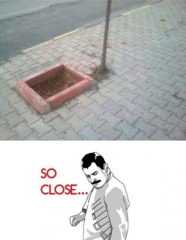 Ein Baum wächst direkt neben einer leeren Baumumrandung auf einem Bürgersteig.