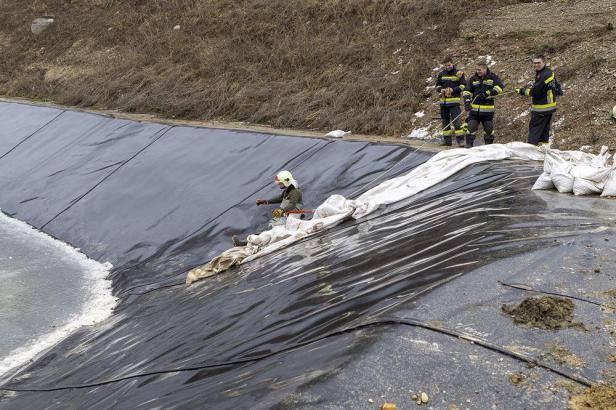 Feuerwehr Krems rettete Hasen aus zugefrorenem Wasserbecken