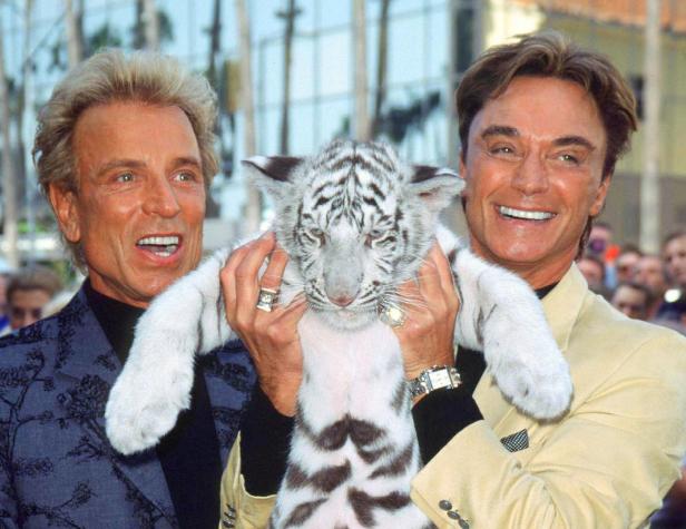 Siegfried und Roy halten ein junges weißes Tigerbaby im Arm.