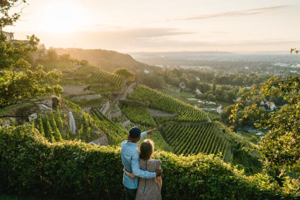 Blick über Weinberge Radebeul