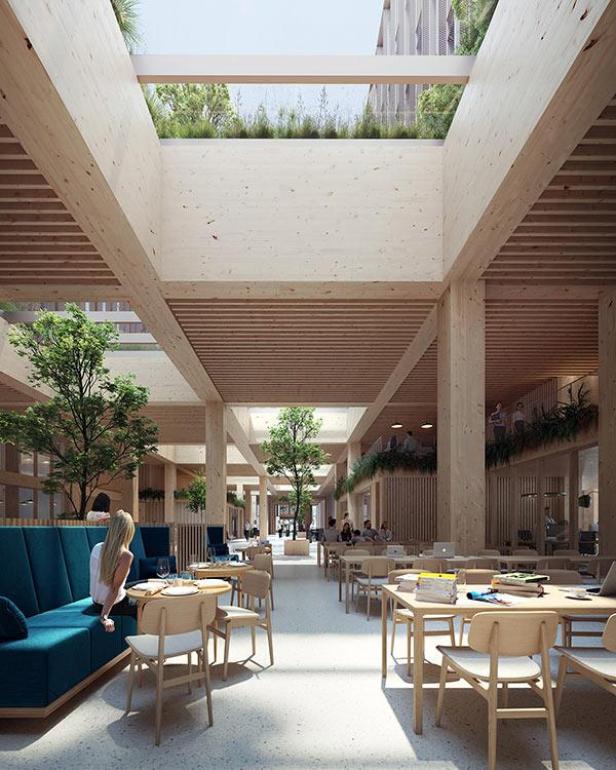 Innenansicht eines modernen Büros mit Holzkonstruktion und begrünten Bereichen.