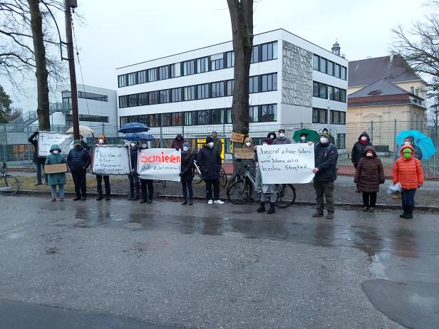 Stockerau: Bürger protestieren gegen Baumfällungen
