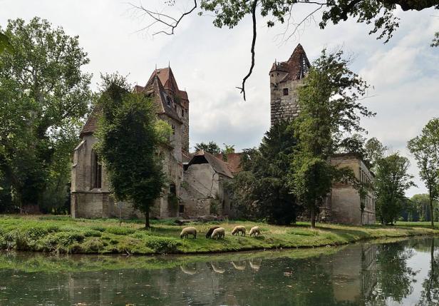 Eine Schafherde grast vor der Ruine eines alten Schlosses am Wasser.