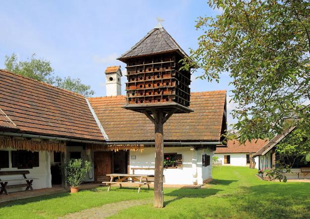 Ein großes Vogelhaus steht auf einem Pfahl in einem ländlichen Garten.