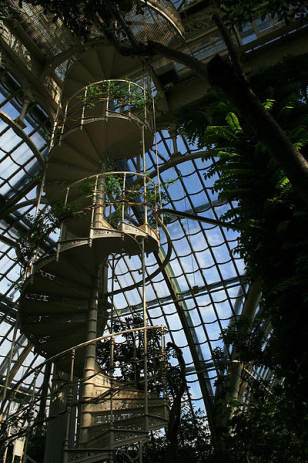 Eine Wendeltreppe windet sich in einem Gewächshaus nach oben.