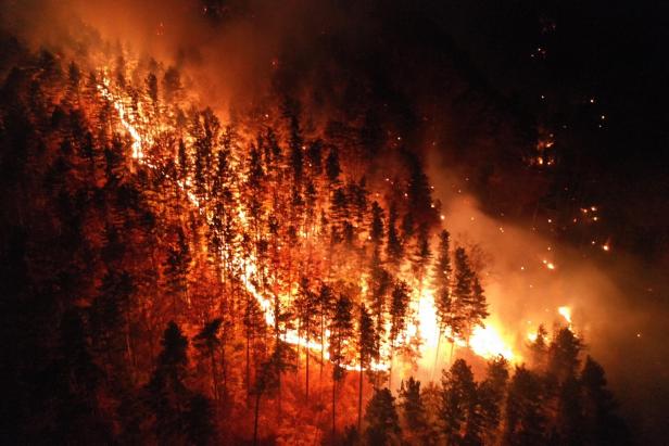 Ein Waldbrand breitet sich in der Nacht über einen bewaldeten Hügel aus.