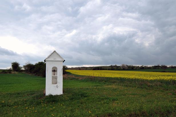 Ein weißer Bildstock steht auf einem Feld mit gelbem Raps unter bewölktem Himmel.