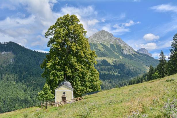 Eine kleine Kapelle steht unter einem großen Baum vor einer Bergkulisse.