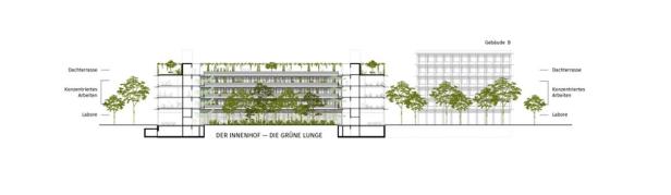 Ein Architekturschnitt eines Gebäudes mit Dachterrasse und viel Grün.