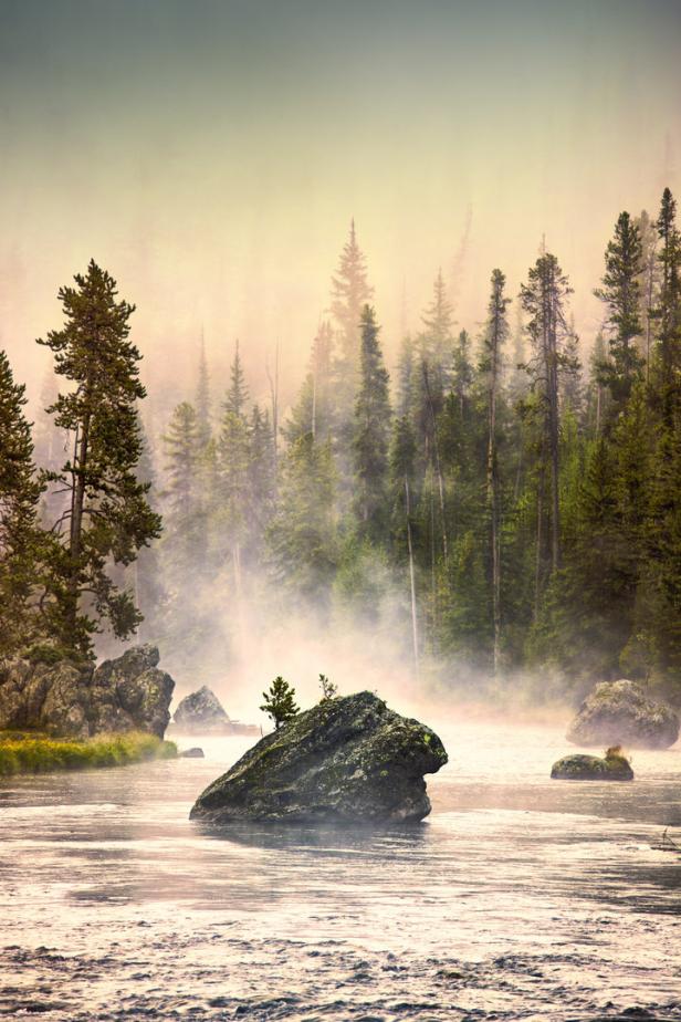 Ein Fluss mit Felsen und Bäumen im Nebel.