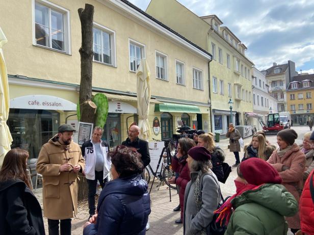 Die Bäume sind weg: Protest der St. Pöltner Kaufleute blieb ungehört