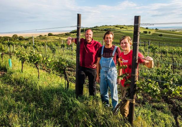 „wine4peace“: Joiser Wein hilft Kriegsflüchtlingen aus der Ukraine