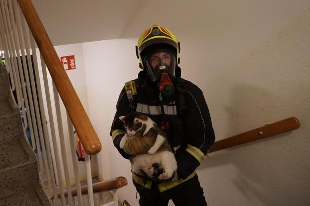 ++ HANDOUT ++ NIEDERĂ–STERREICH: WOHNUNGSBRAND IM BEZIRK MĂ–DLING