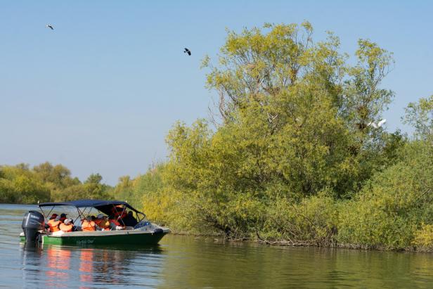 Donauwalzer am Donaudelta: 2.000 Kilometer kreuzfahren auf dem Fluss