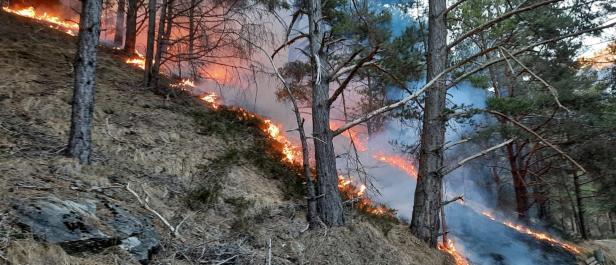 Warum die Waldbrände bisher glimpflich ausgingen