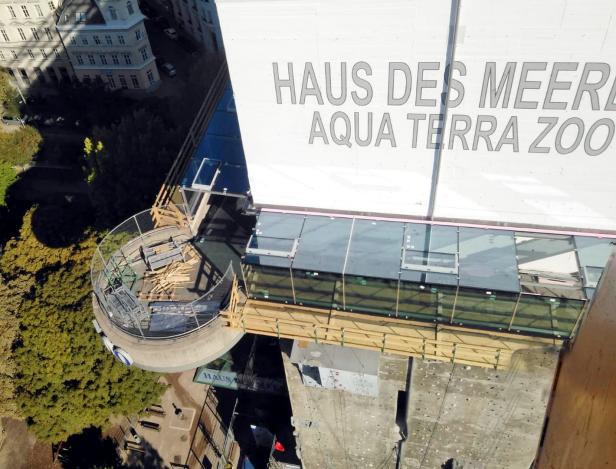 Haus des Meeres: Von Australien aus auf die Wiener Innenstadt blicken