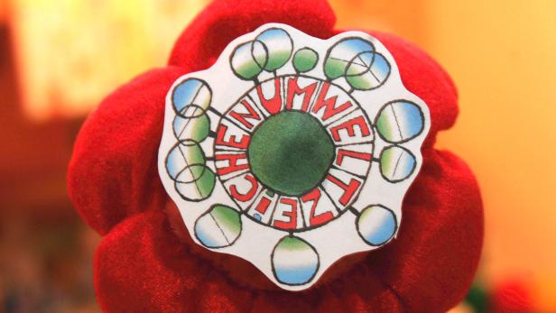 Eine rote Stoffblume mit einer Anstecknadel, die „CHENUMWELTZEIT“ zeigt.