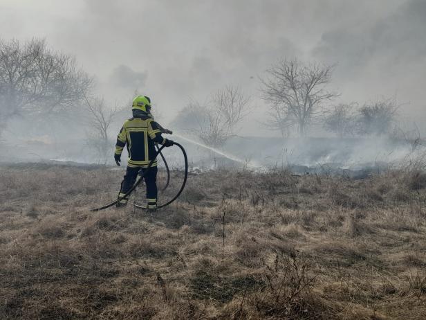 Feuerwehr konnte Schilfbrand in Illmitz unter Kontrolle bringen