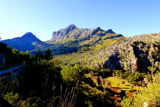 Fünf Gründe für Frühlingsurlaub auf Mallorca
