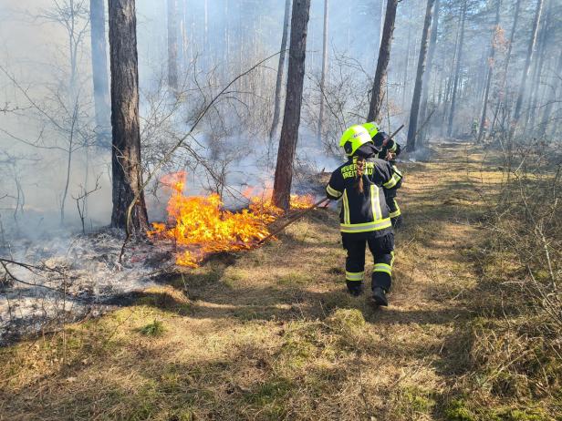 Bezirk Neunkirchen: 110 Feuerwehrleute kämpfen gegen Waldbrand