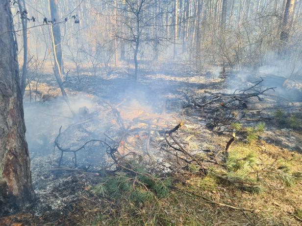 Bezirk Neunkirchen: 110 Feuerwehrleute kämpfen gegen Waldbrand