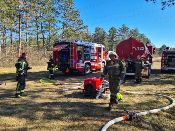 Bezirk Neunkirchen: 110 Feuerwehrleute kämpfen gegen Waldbrand