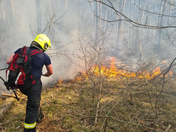 Bezirk Neunkirchen: 110 Feuerwehrleute kämpfen gegen Waldbrand