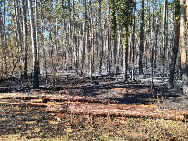 Bezirk Neunkirchen: 110 Feuerwehrleute kämpfen gegen Waldbrand