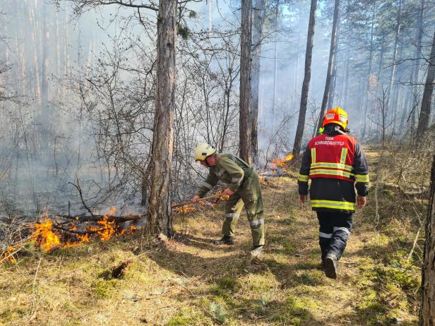 Bezirk Neunkirchen: 110 Feuerwehrleute kämpfen gegen Waldbrand