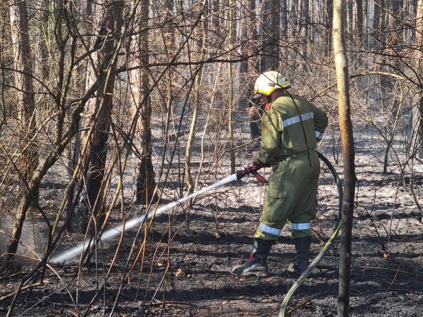 Bezirk Neunkirchen: 110 Feuerwehrleute kämpfen gegen Waldbrand