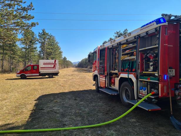 Bezirk Neunkirchen: 110 Feuerwehrleute kämpfen gegen Waldbrand