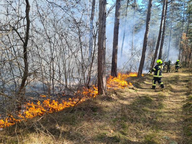 Bezirk Neunkirchen: 110 Feuerwehrleute kämpfen gegen Waldbrand