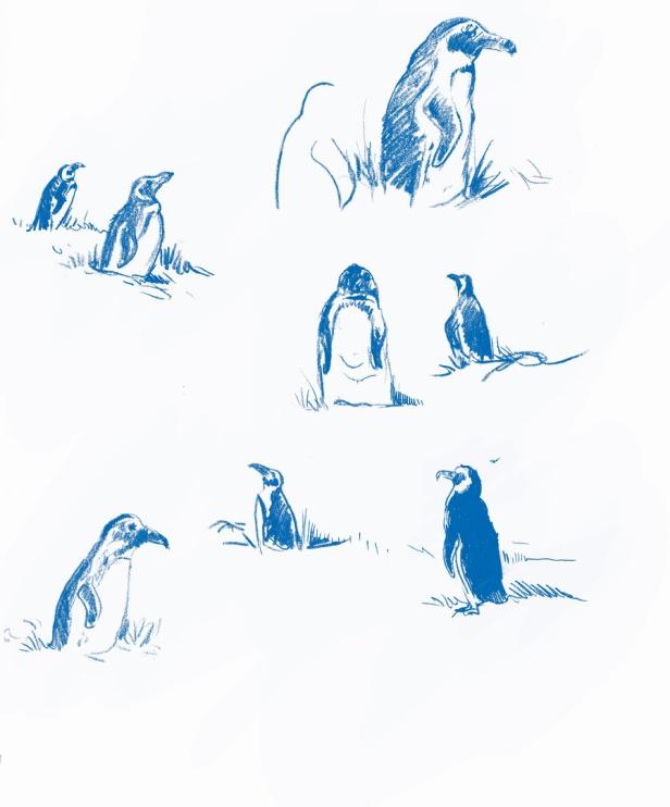 Eine blaue Skizze zeigt mehrere Pinguine in verschiedenen Posen.