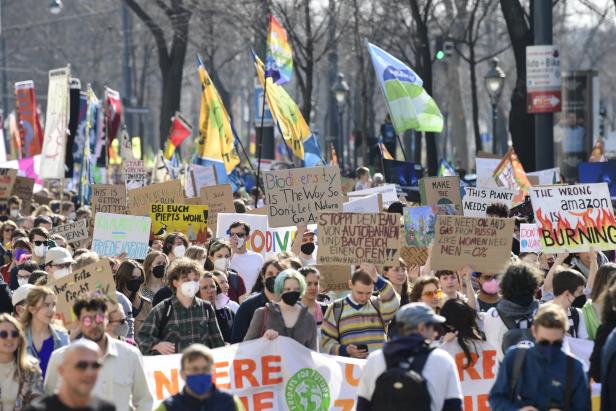 Fridays for Future: Tausende bei Klimademos auf der Straße