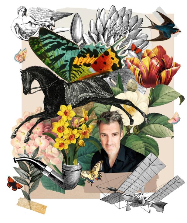 Ein zusammengesetztes Bild mit einem Mann, einem Pferd mit Schmetterlingsflügeln, Blumen und einem Flugzeug.