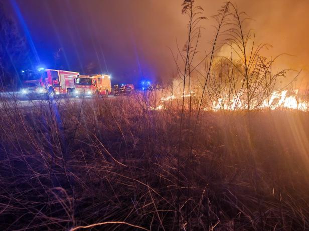 Waldbrand auf Truppenübungsplatz in Allentsteig unter Kontrolle