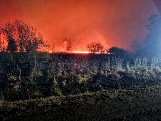 Waldbrand auf Truppenübungsplatz in Allentsteig unter Kontrolle