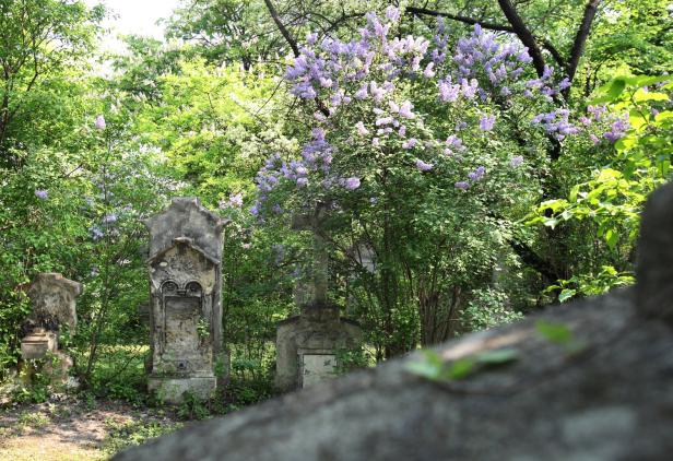 Am Friedhof Rossau herrscht auch weiterhin Grabesstille