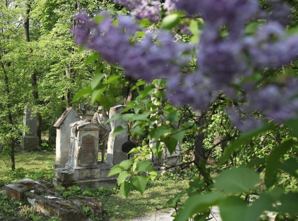 Am Friedhof Rossau herrscht auch weiterhin Grabesstille