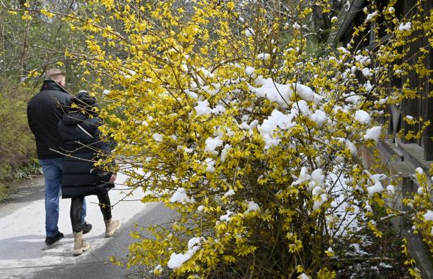 Wintereinbruch: Seltener April-Schnee in Wien