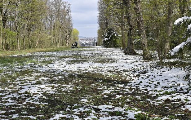 Wintereinbruch: Seltener April-Schnee in Wien