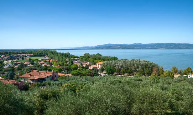 Blick über Olivenbäume auf eine italienische Stadt am See mit Bergen im Hintergrund.