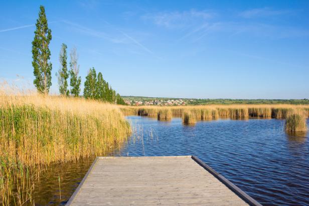Ein Holzsteg führt in einen See mit Schilf und einer Ortschaft im Hintergrund.