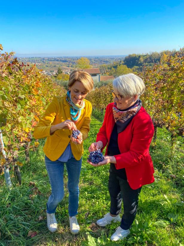 Zwei Frauen stehen in einem Weinberg und halten Weintrauben in den Händen.