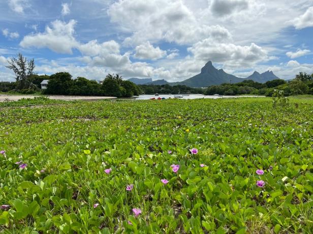 Warum auf Mauritius auch Nachhaltigkeit ein Thema ist