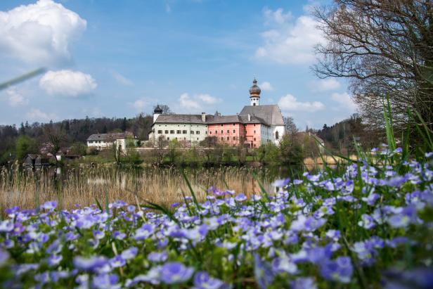 Drei schöne Frühlingswanderungen in Berchtesgaden