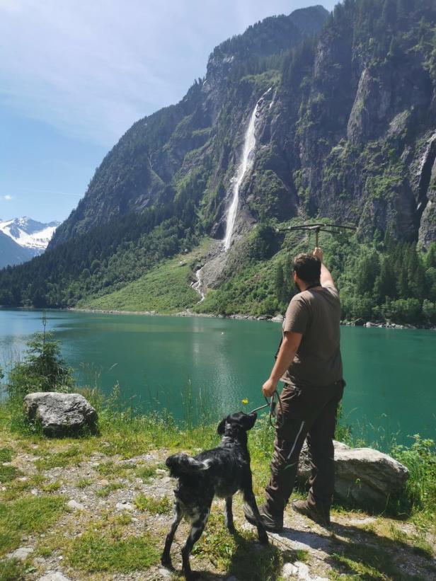 Österreichs neuer Wolfsbeauftragter - und seine Herausforderungen