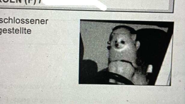 Ein kleiner Hund sitzt am Steuer eines Autos.