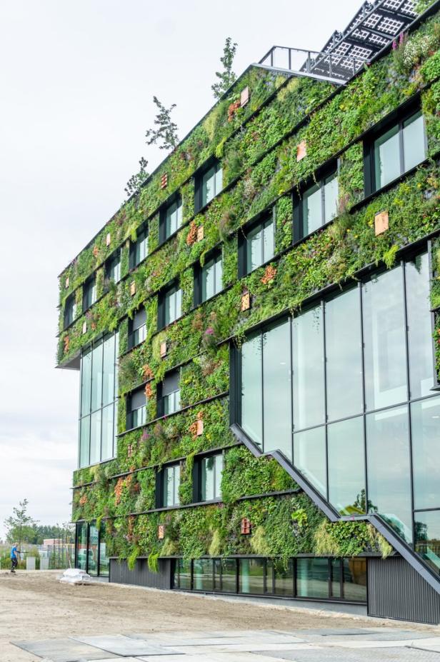 Grüne Städte bauen: Vorzeige-Beispiel bei Expo nahe Amsterdam