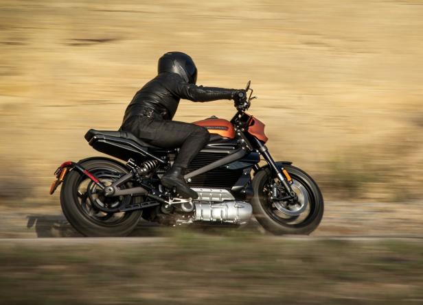 Ein Motorradfahrer fährt mit einer Harley-Davidson auf einer Landstraße.